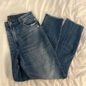 Simone High Rise Slim Jeans size 28 Long